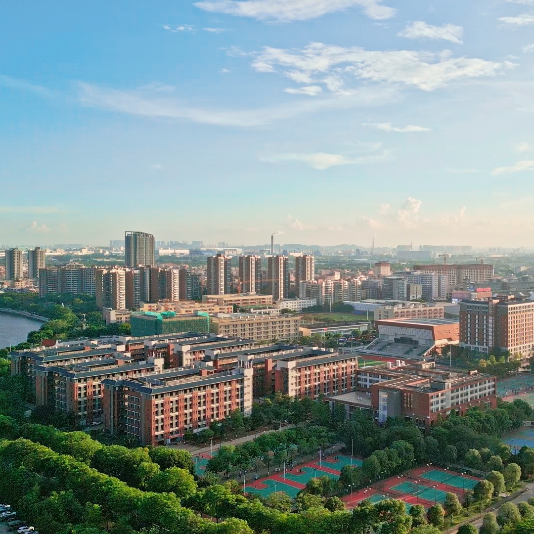 合集封面