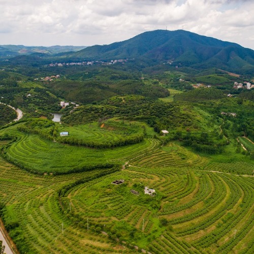 合集封面