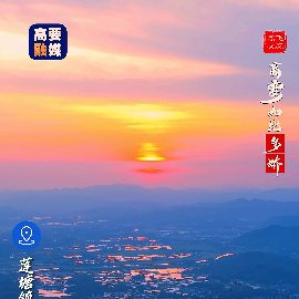 合集封面