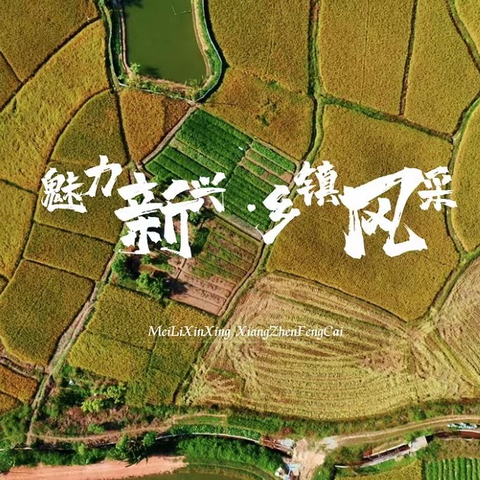 合集封面