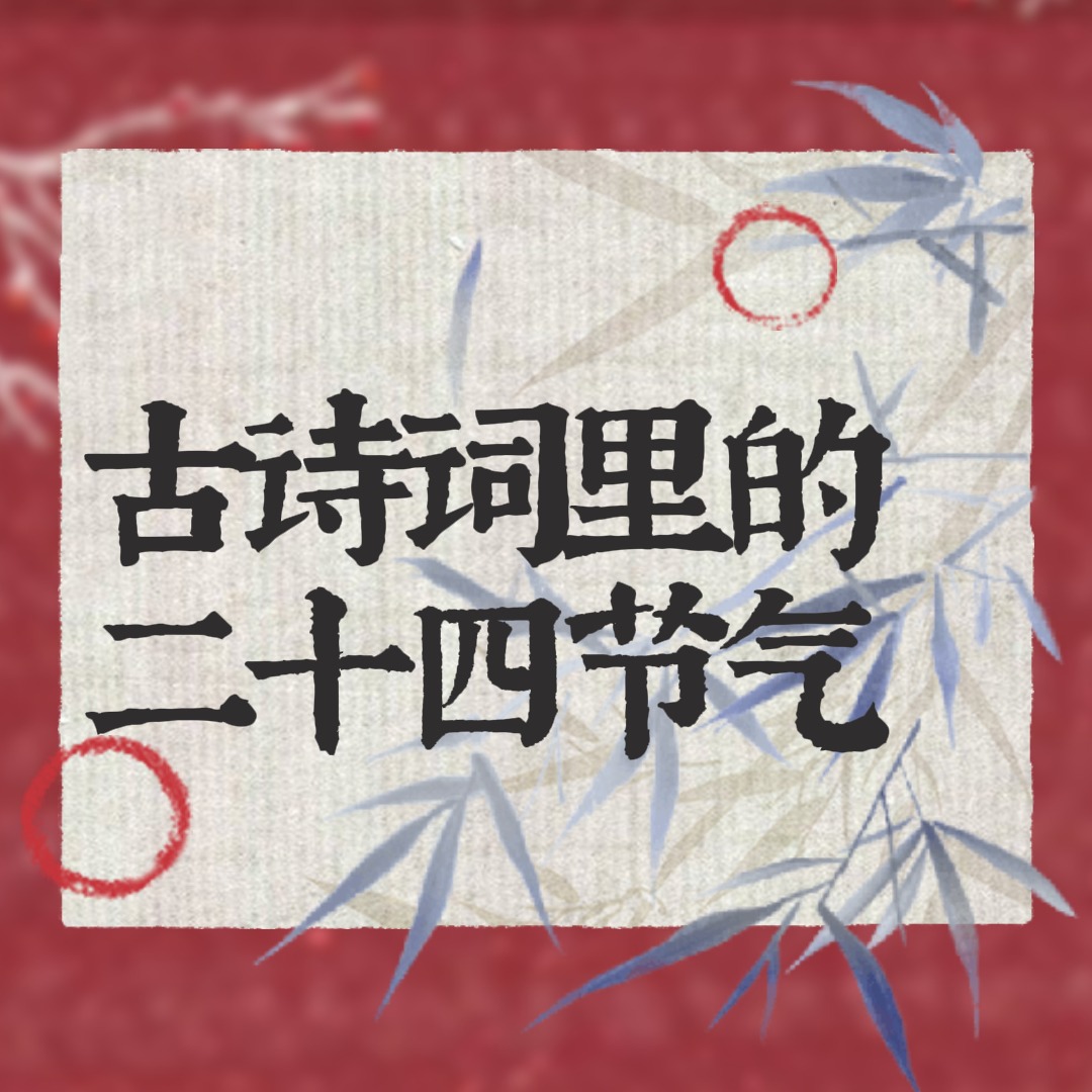 合集封面