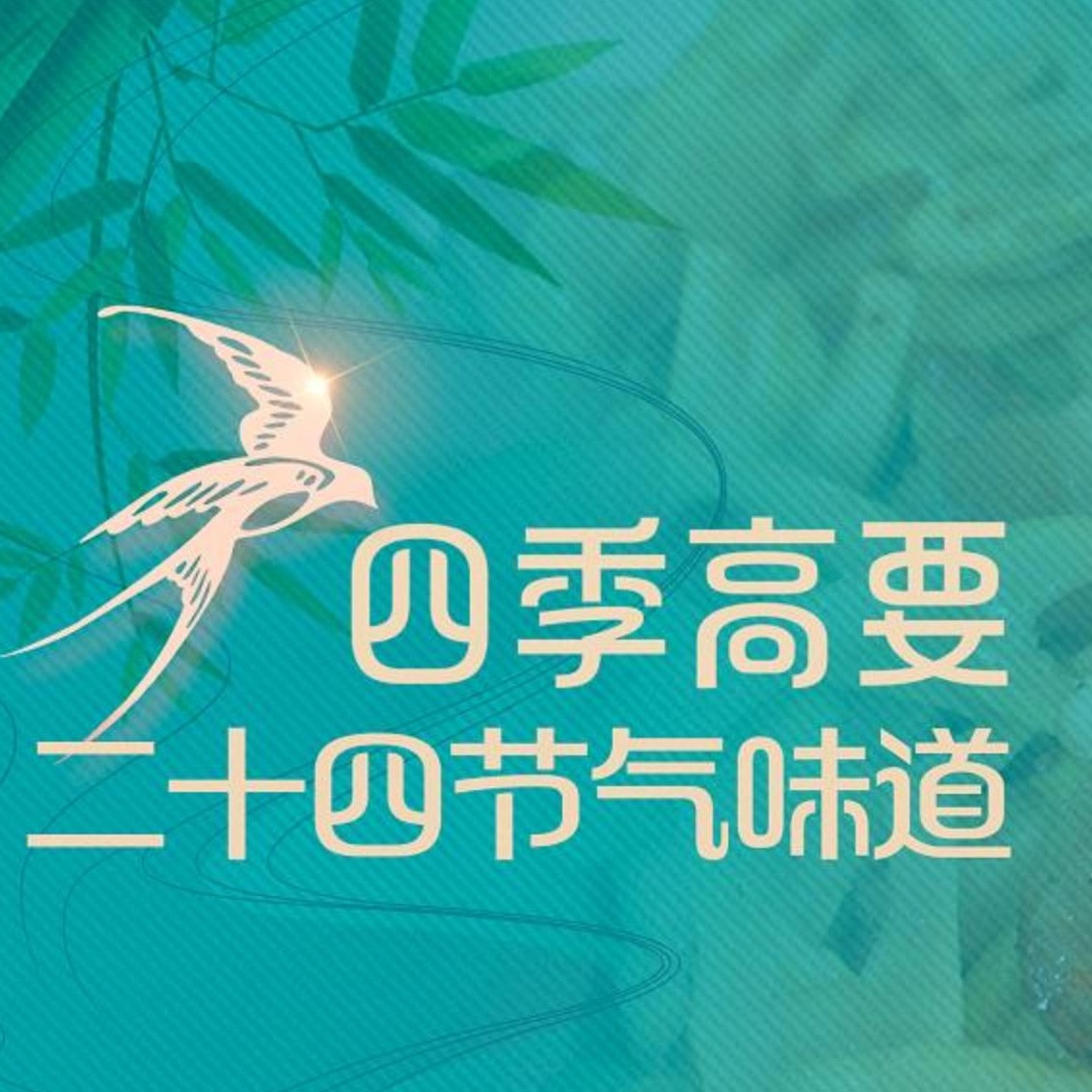 合集封面
