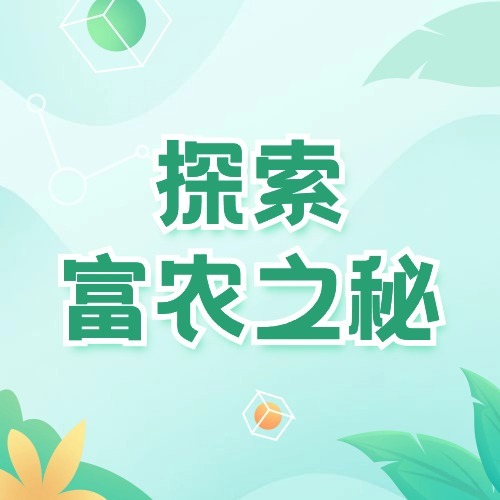 合集封面