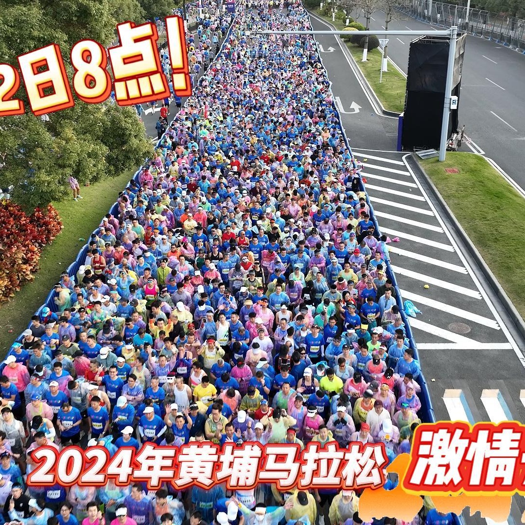 合集封面