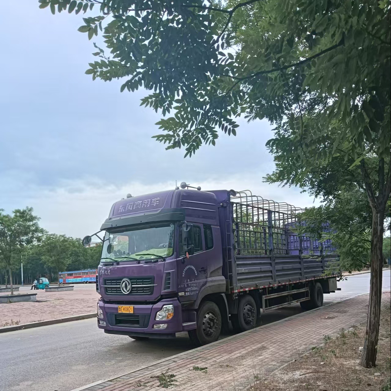 合集封面