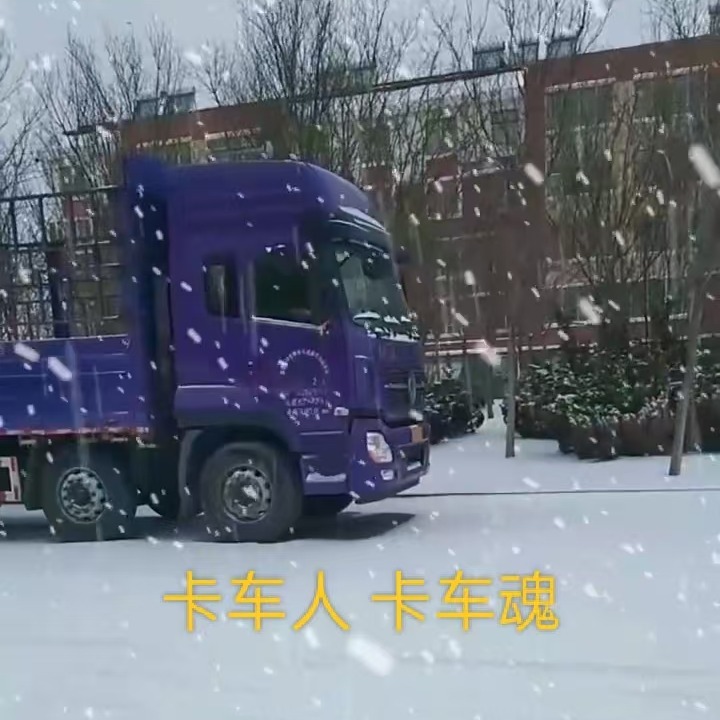 合集封面