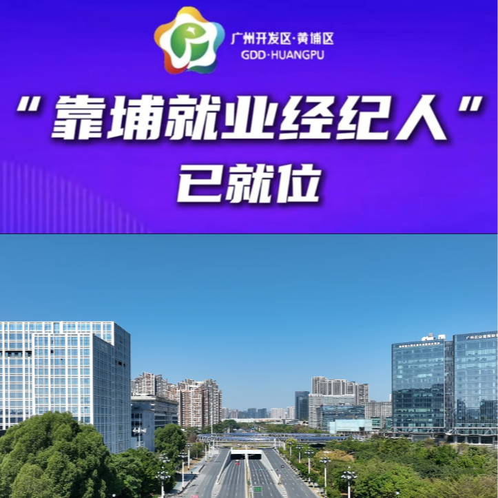 合集封面