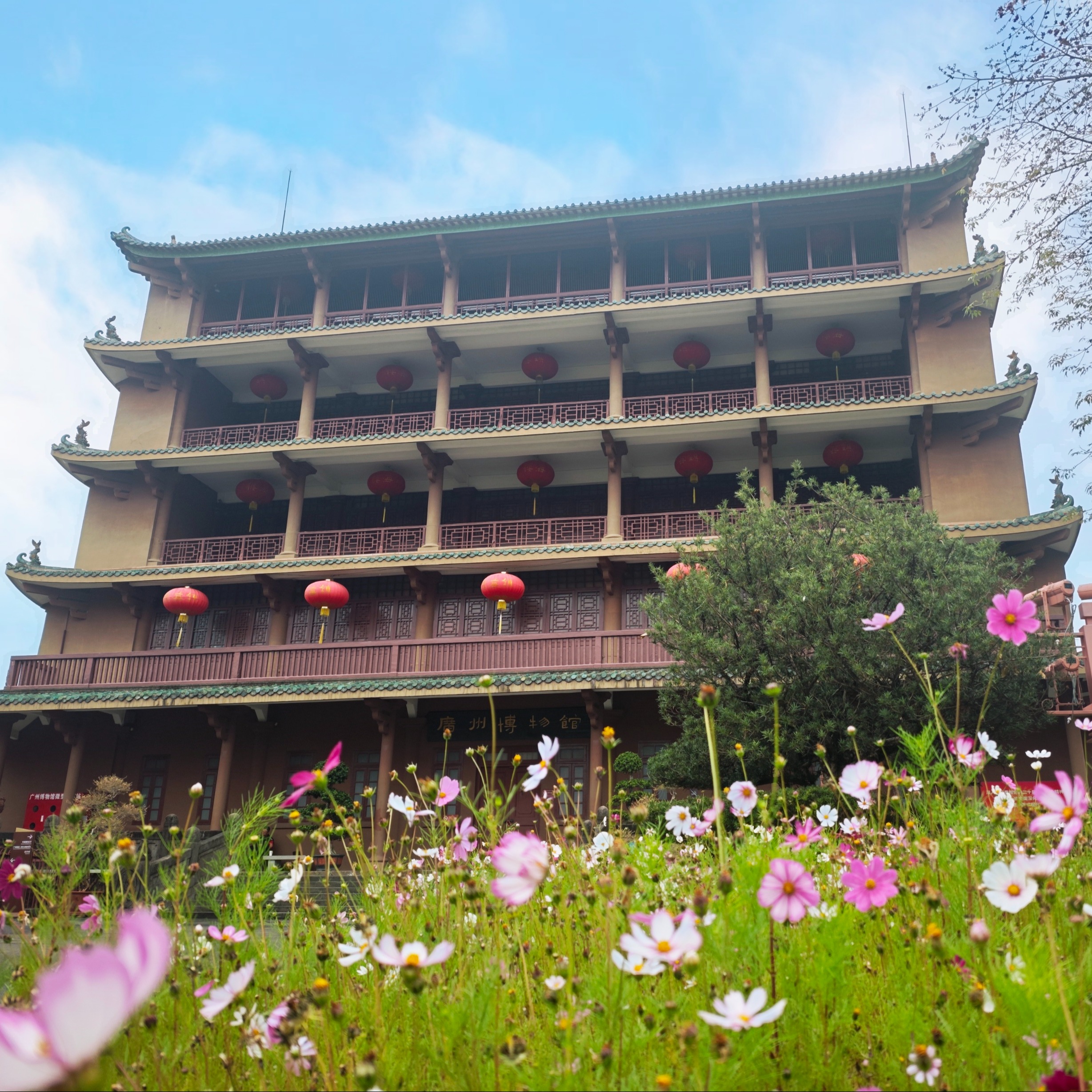 合集封面