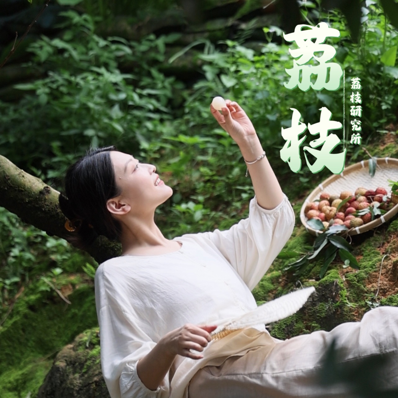 合集封面