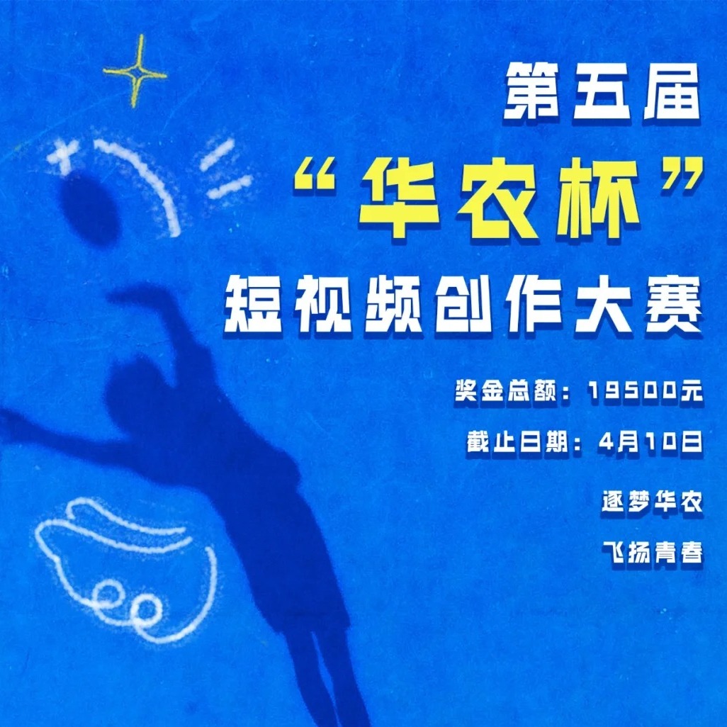 合集封面