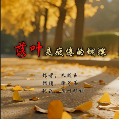 视频封面