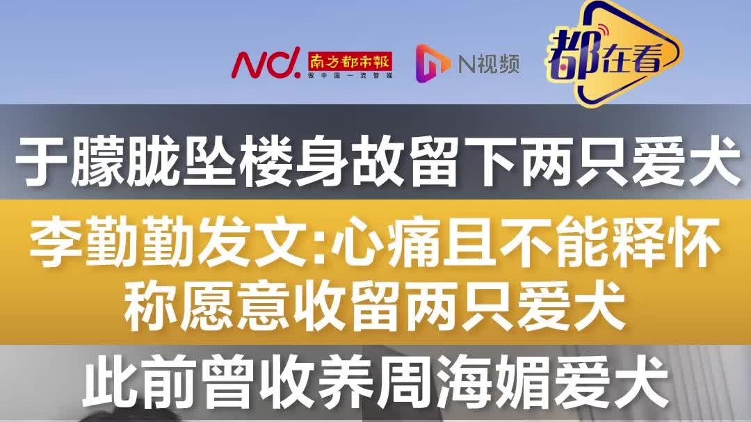 于朦胧坠楼身故留下两只爱犬！李勤勤发文称愿意收留两只爱犬